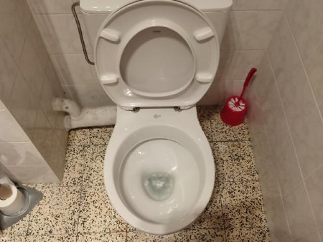 Mise en place de toilettes.